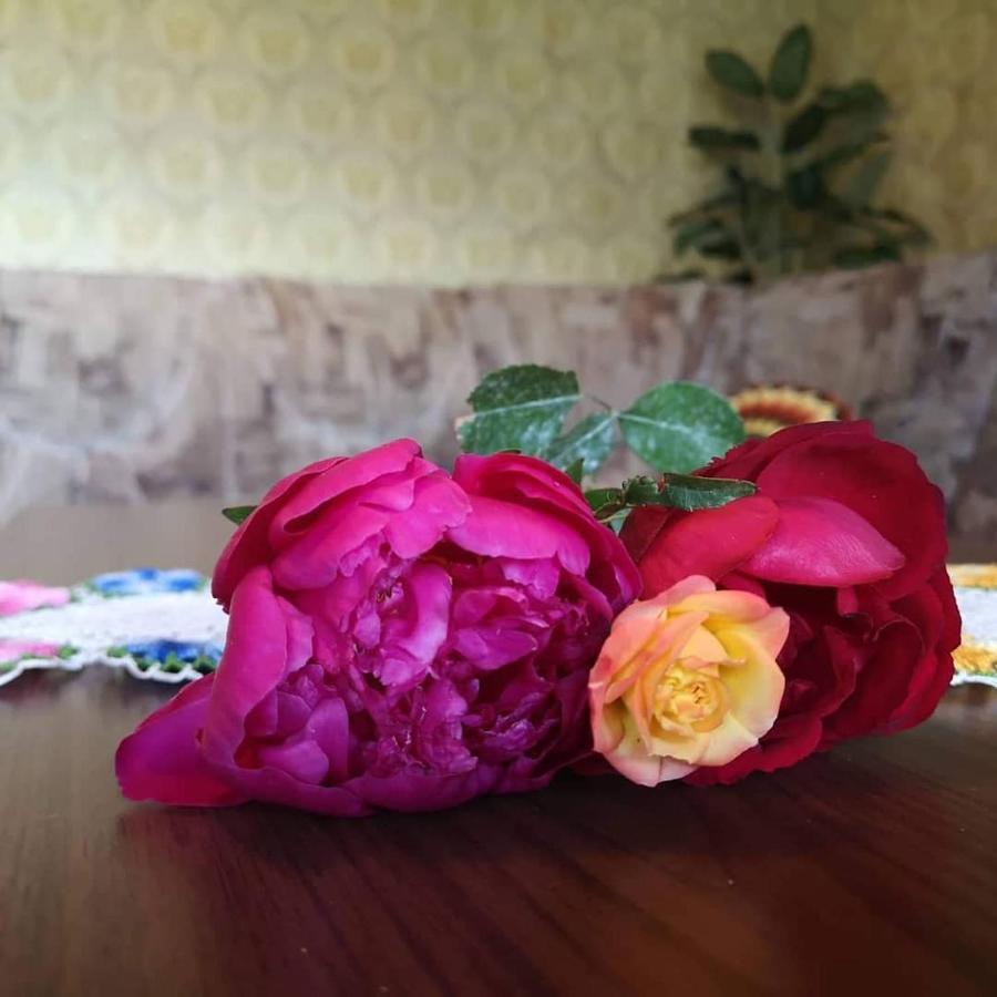 Apartma Floncna Apartment โบเว็ก ภายนอก รูปภาพ